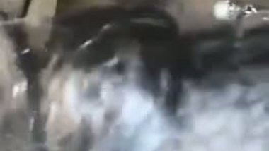 Kannur sex video – Mallu aunty sucking kunna